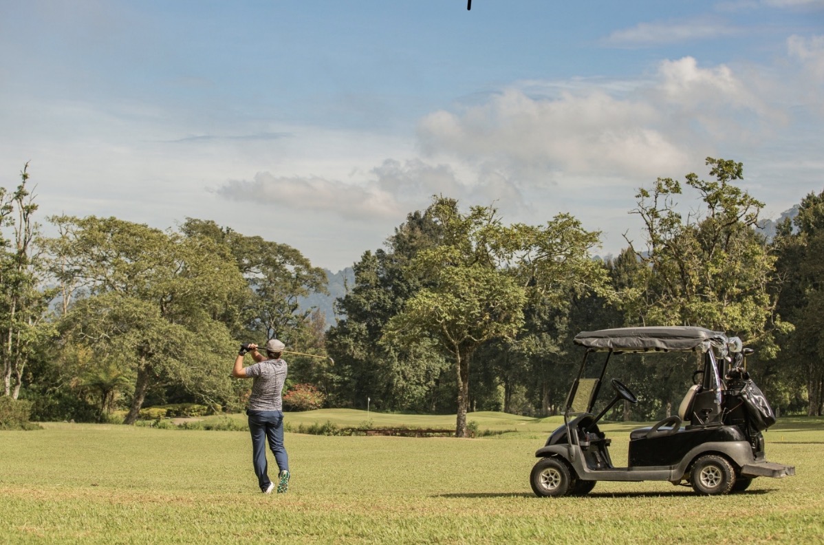 golf hubs
